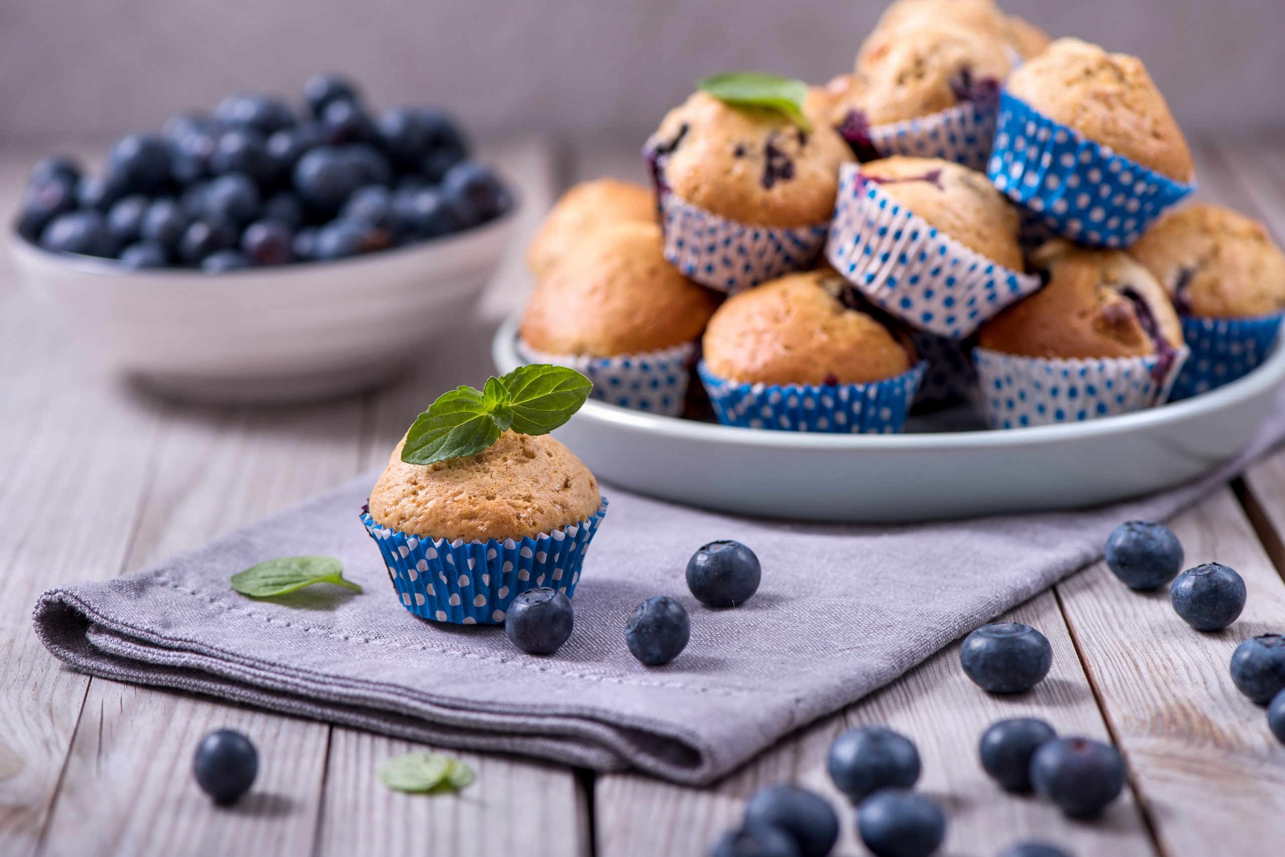 Moist and Tender Blueberry Muffins